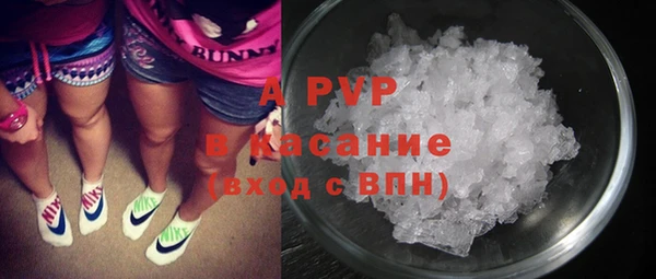 амф Вяземский