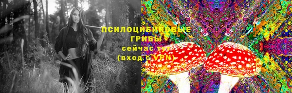 2c-b Вязники