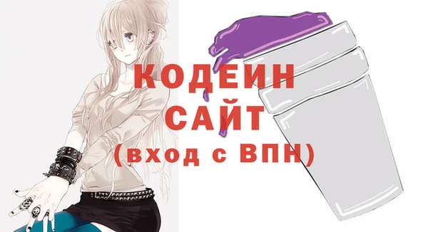 амф Вяземский
