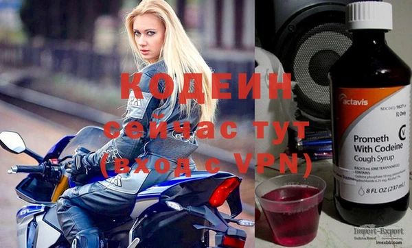 амф Вяземский