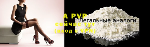 амф Вяземский
