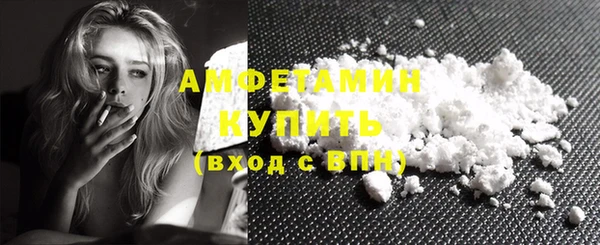 амф Вяземский